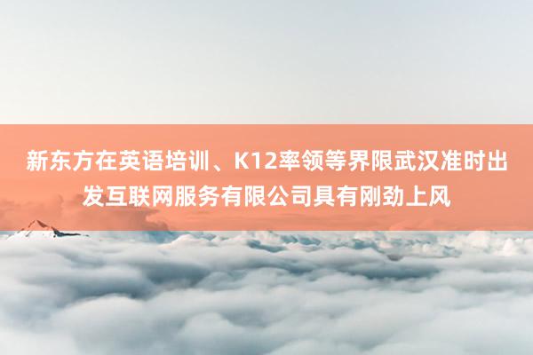 新东方在英语培训、K12率领等界限武汉准时出发互联网服务有限公司具有刚劲上风